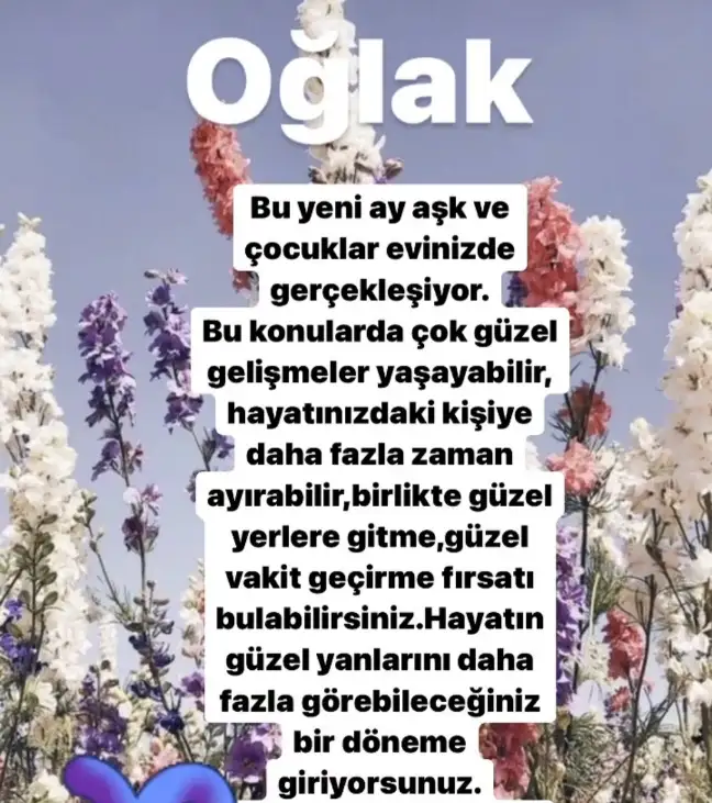 Screenshot_20210509-180921_Instagram.webp