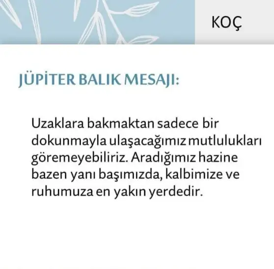 Screenshot_20210522-095613_Instagram.webp
