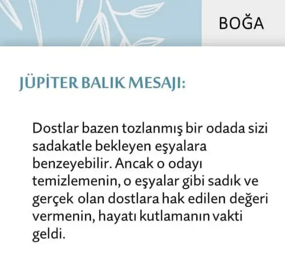 Screenshot_20210522-095617_Instagram.webp