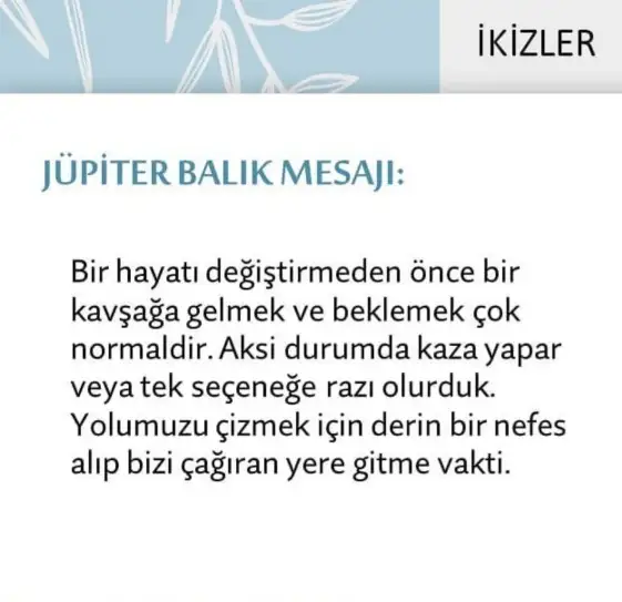 Screenshot_20210522-095619_Instagram.webp