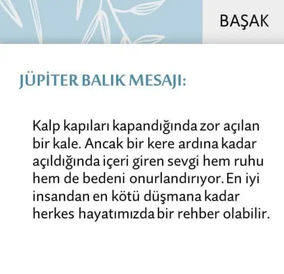 Screenshot_20210522-095631_Instagram.webp