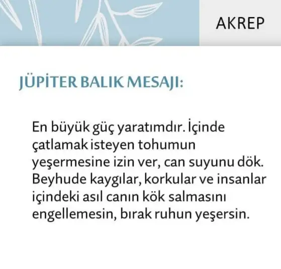 Screenshot_20210522-095651_Instagram.webp