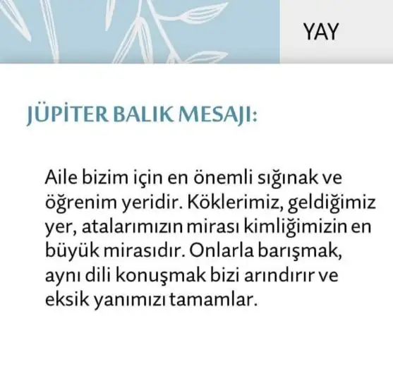 Screenshot_20210522-095655_Instagram.webp