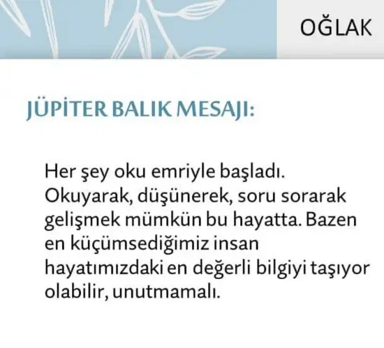 Screenshot_20210522-095657_Instagram.webp