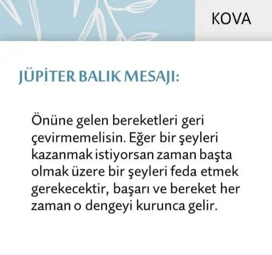 Screenshot_20210522-095701_Instagram.webp
