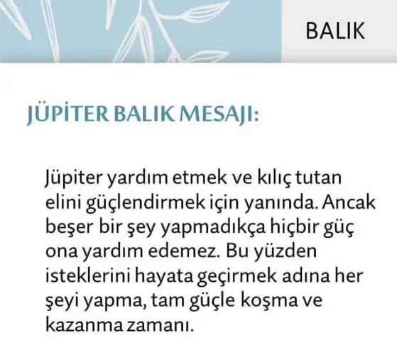Screenshot_20210522-095706_Instagram.webp
