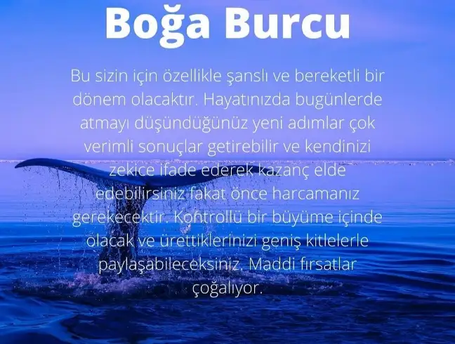 Screenshot_20210522-095945_Instagram.webp