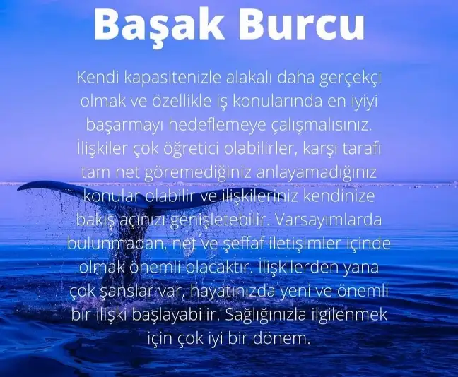 Screenshot_20210522-095959_Instagram.webp