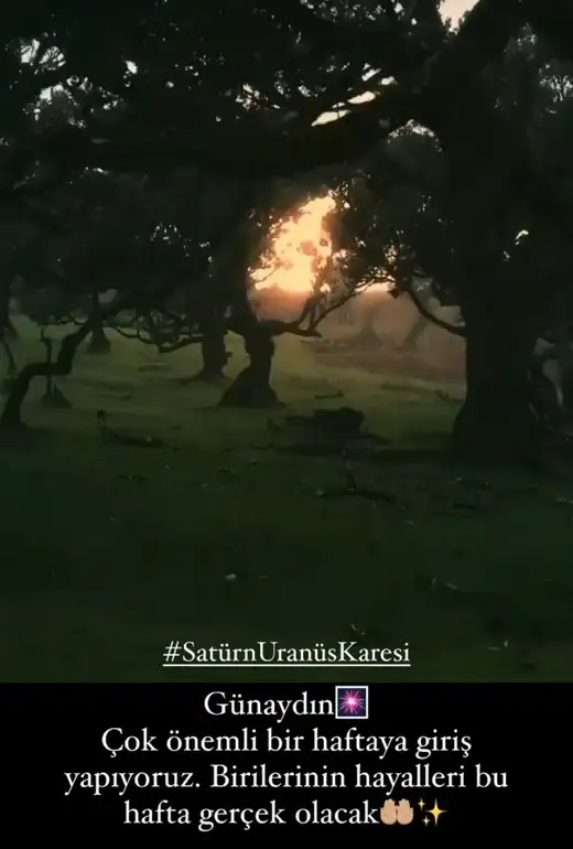 Screenshot_20210614-090810_Instagram.webp