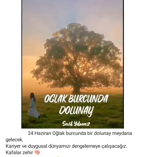 Screenshot_20210620-171424_Instagram.webp