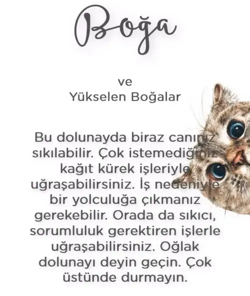 Screenshot_20210623-230843_Instagram.webp