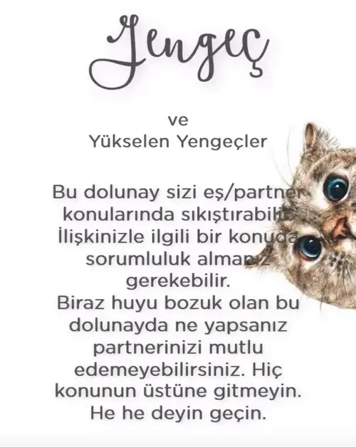 Screenshot_20210623-230853_Instagram.webp