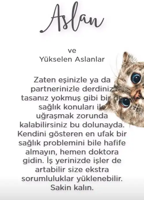 Screenshot_20210623-230858_Instagram.webp