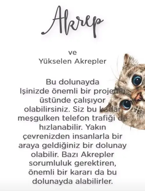 Screenshot_20210623-230913_Instagram.webp