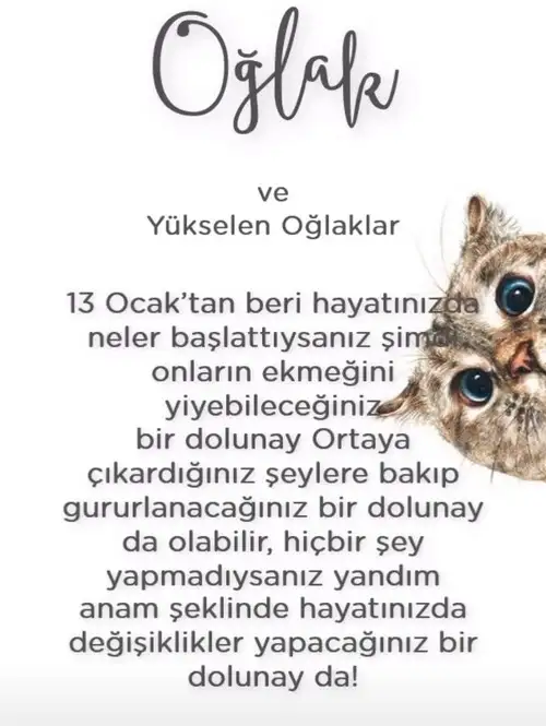 Screenshot_20210623-230923_Instagram.webp