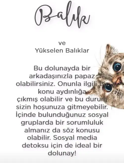 Screenshot_20210623-230934_Instagram.webp