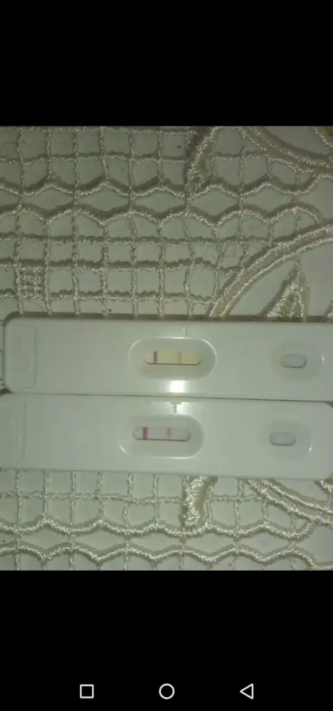 Screenshot_20210629-180946.webp