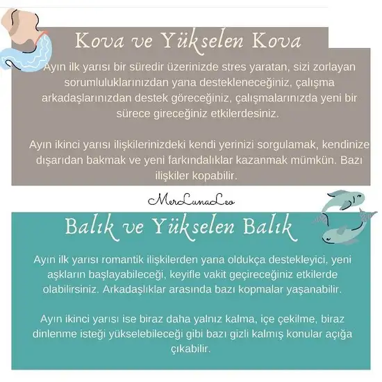 Screenshot_20210706-120322_Instagram.webp