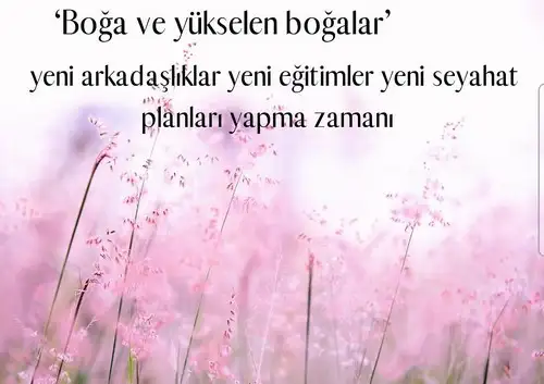 Screenshot_20210708-125142_Instagram.webp