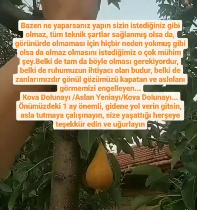 Screenshot_20210721-172519_Instagram.webp