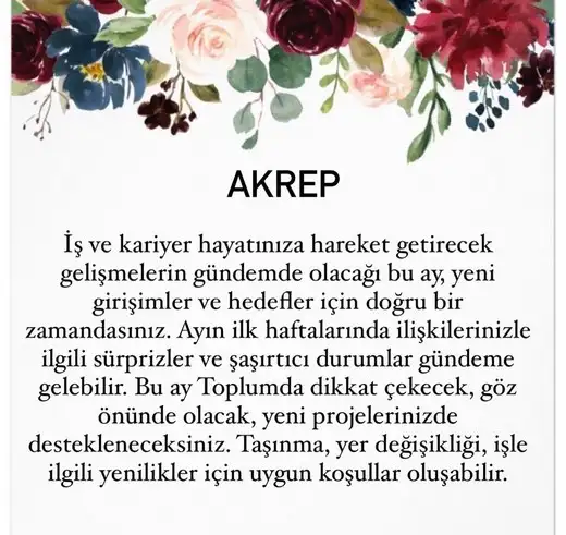 Screenshot_20210802-121354_Instagram.webp