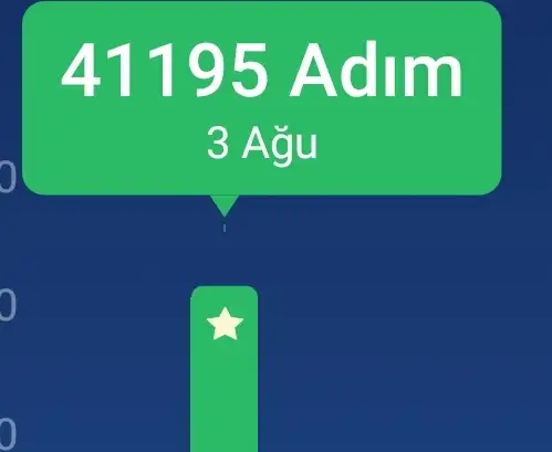 Screenshot_20210803-144428_Pedometer Step Counter.webp