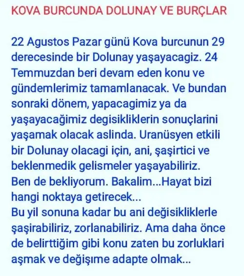 Screenshot_20210819-131226_Instagram.webp