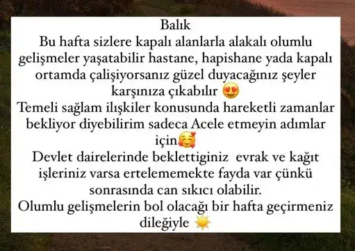 Screenshot_20210823-090405_Instagram.webp