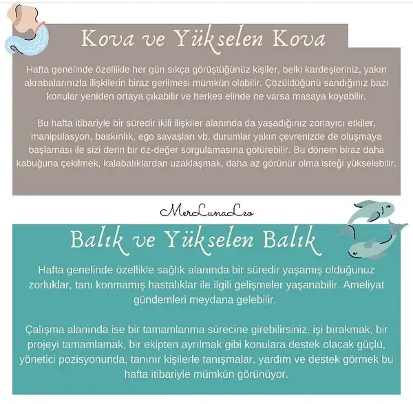 Screenshot_20210823-090655_Instagram.webp