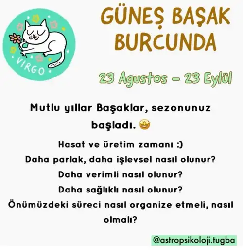 Screenshot_20210825-104420_Instagram.webp
