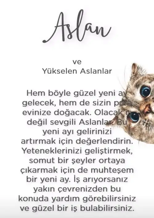 Screenshot_20210906-224255_Instagram.webp