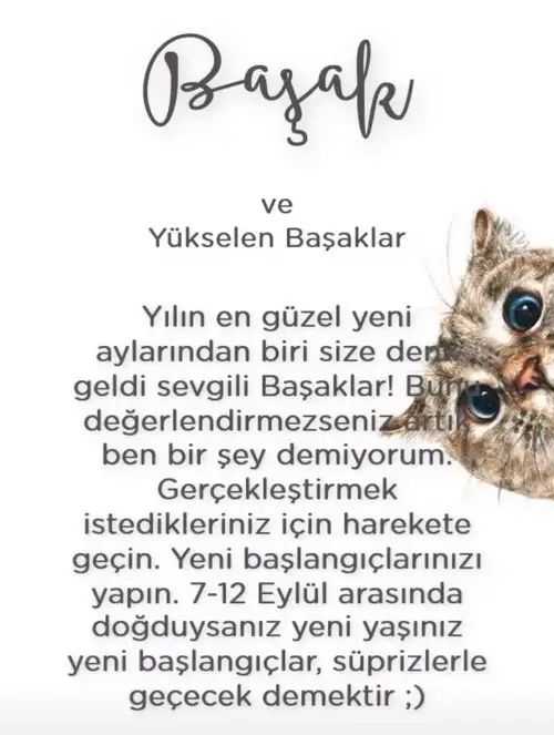 Screenshot_20210906-224307_Instagram.webp