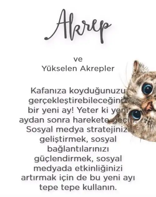 Screenshot_20210906-224317_Instagram.webp