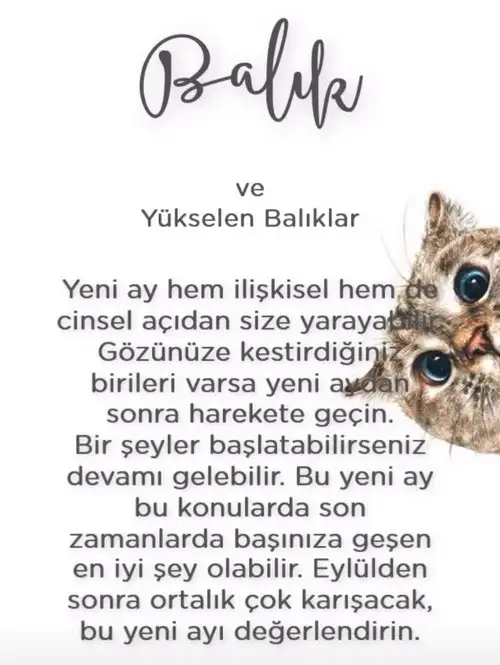 Screenshot_20210906-224345_Instagram.webp