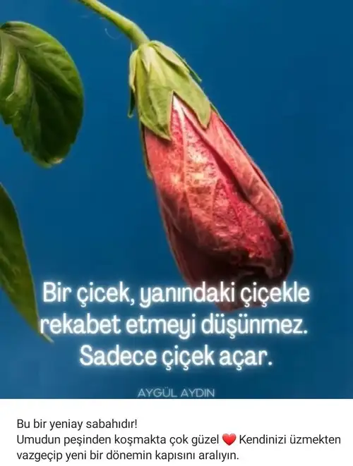 Screenshot_20210907-090331_Instagram.webp