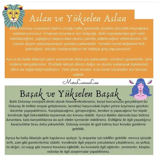 Screenshot_20210921-092959_Instagram.webp