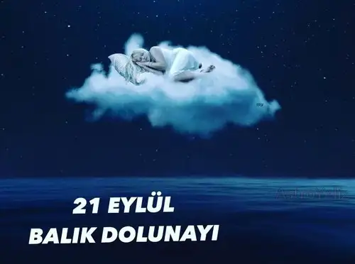 Screenshot_20210921-093815_Instagram.webp