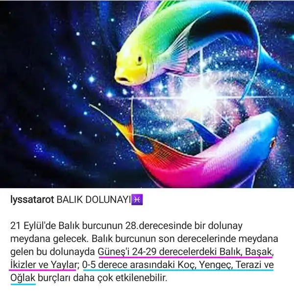 Screenshot_20210921-094909_Instagram.webp