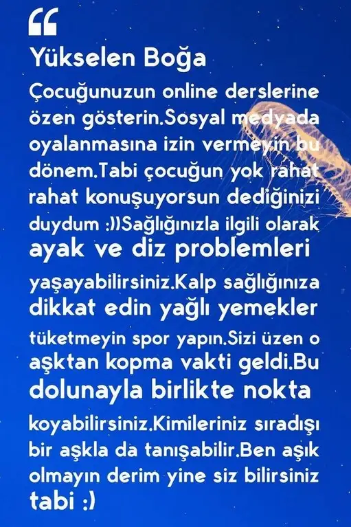 Screenshot_20210921-095022_Instagram.webp