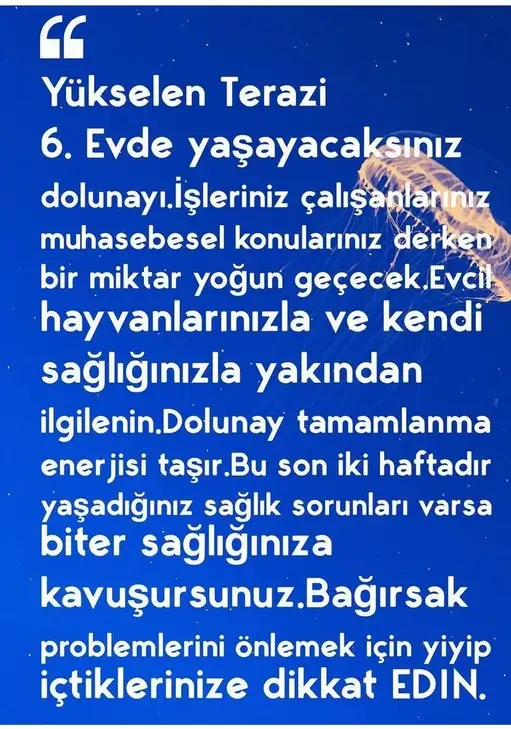 Screenshot_20210921-095035_Instagram.webp
