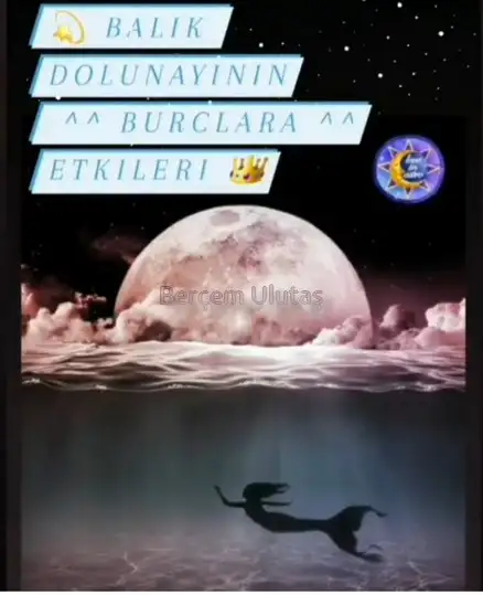 Screenshot_20210921-100728_Instagram.webp