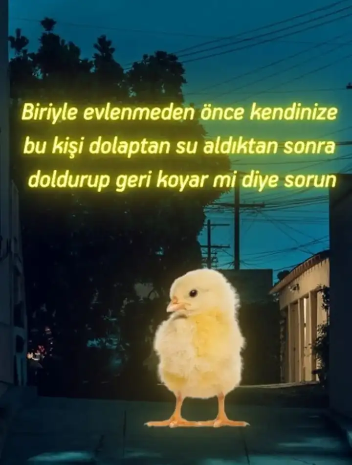 Screenshot_20210929-173443_Instagram.webp