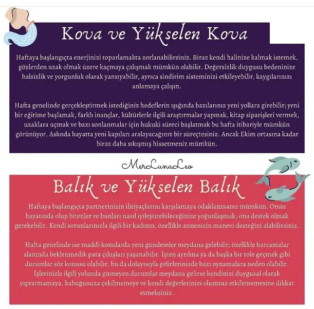 Screenshot_20211004-123951_Instagram.webp