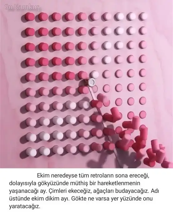 Screenshot_20211004-124252_Instagram.webp