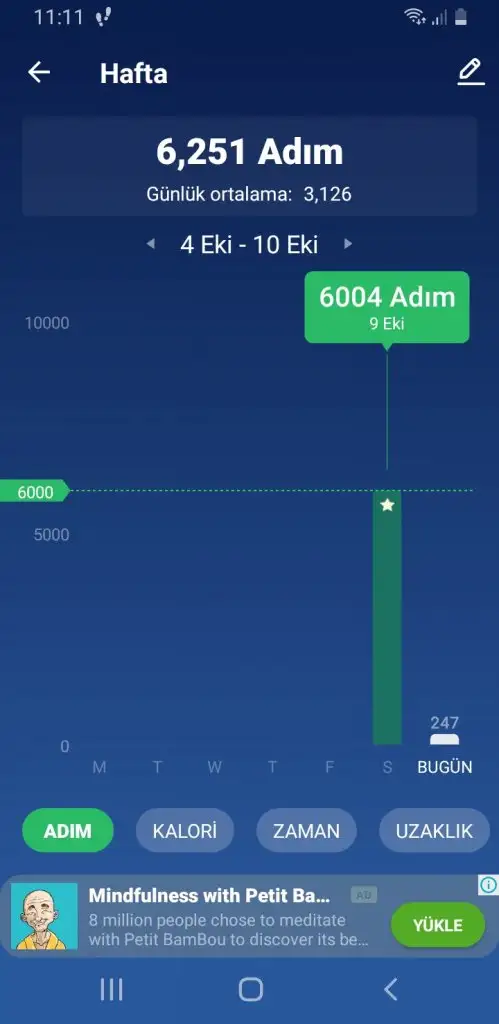 Screenshot_20211010-111149_Pedometer Step Counter.jpg