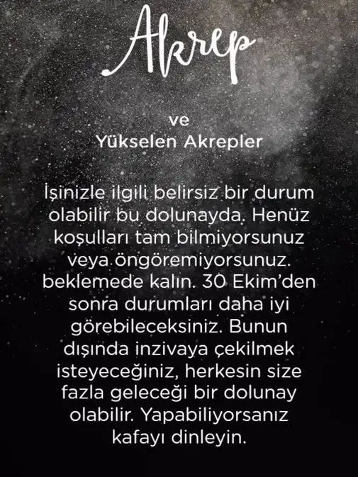 Screenshot_20211018-211554_Instagram.webp