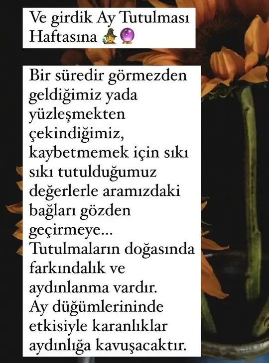 Screenshot_20211116-000059_Instagram.webp