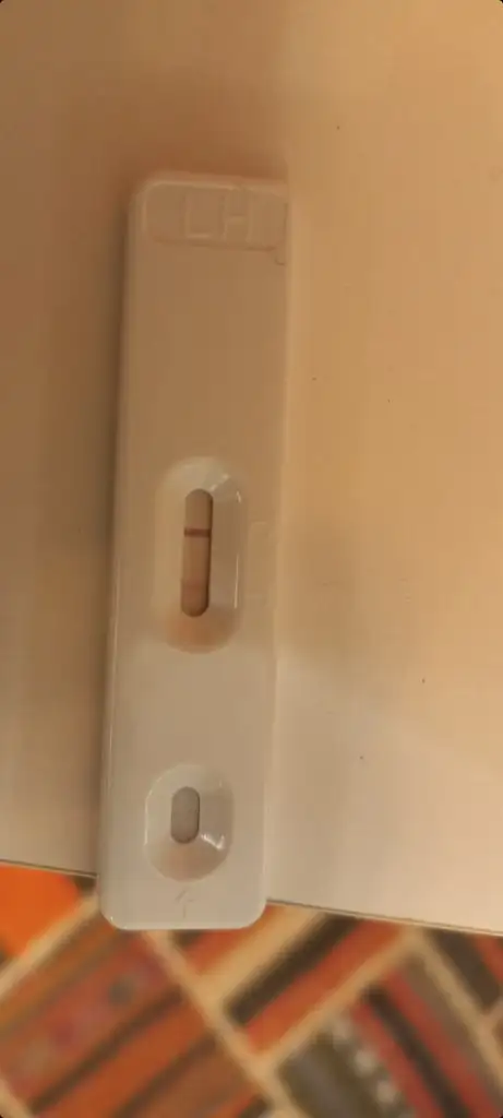 Screenshot_20211120-052540_Gallery.webp