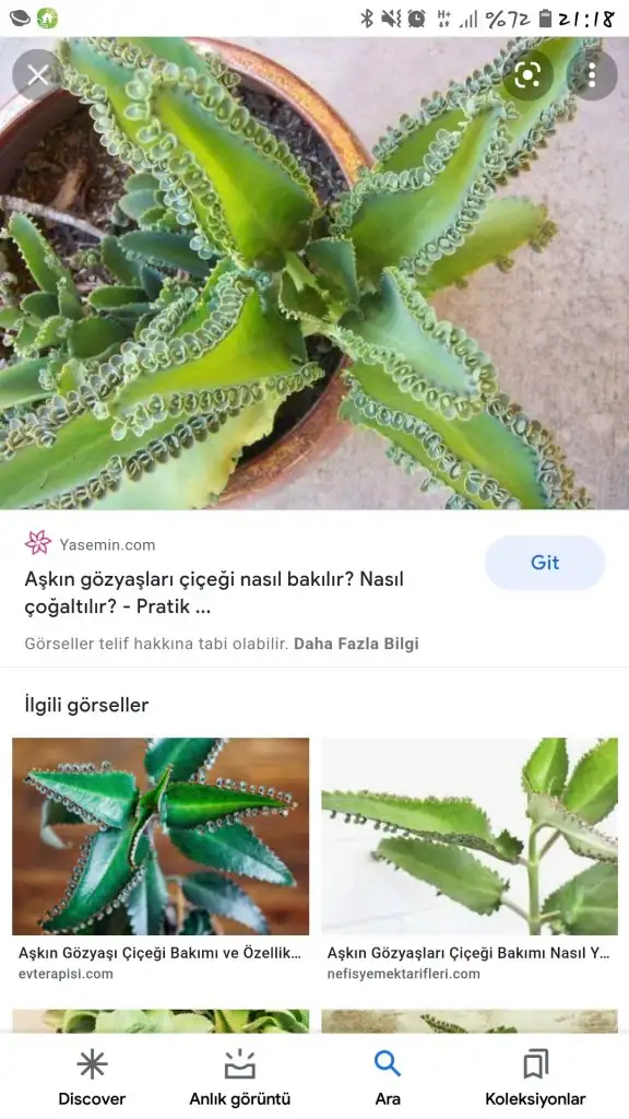 Screenshot_20211120-211826_Google.webp
