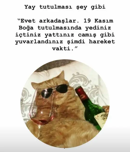 Screenshot_20211130-190701_Instagram.webp